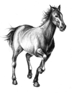 Horse Tattoo Picture